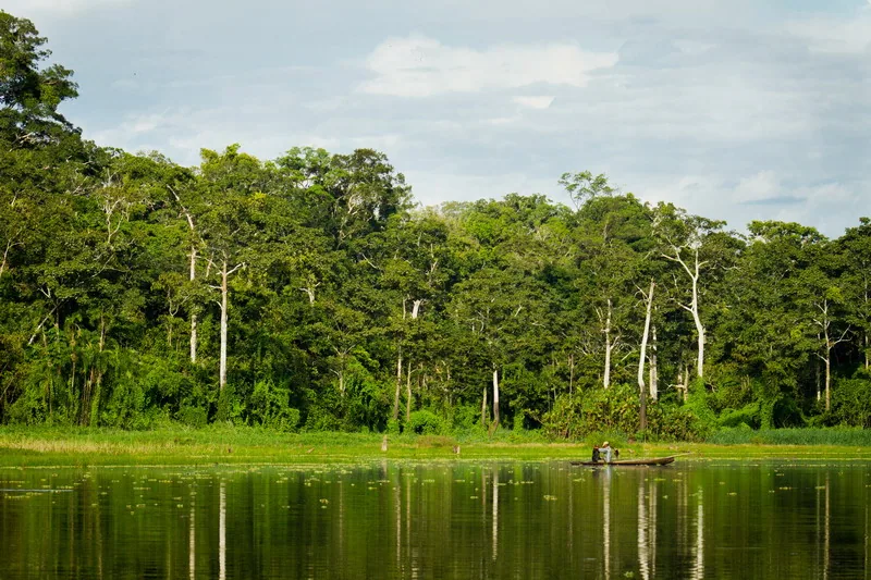 Peruwiańska Amazonia – Rezerwat Narodowy Pacaya Samiria (obszar Cocha San Jacinto)