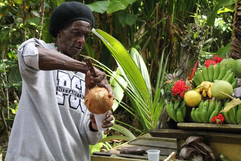 Kokosy, limonki, banany, ananasy czy kawa z Prospect Plantation