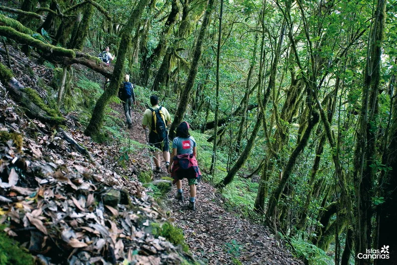 La gomera – Park Narodowy garajonay