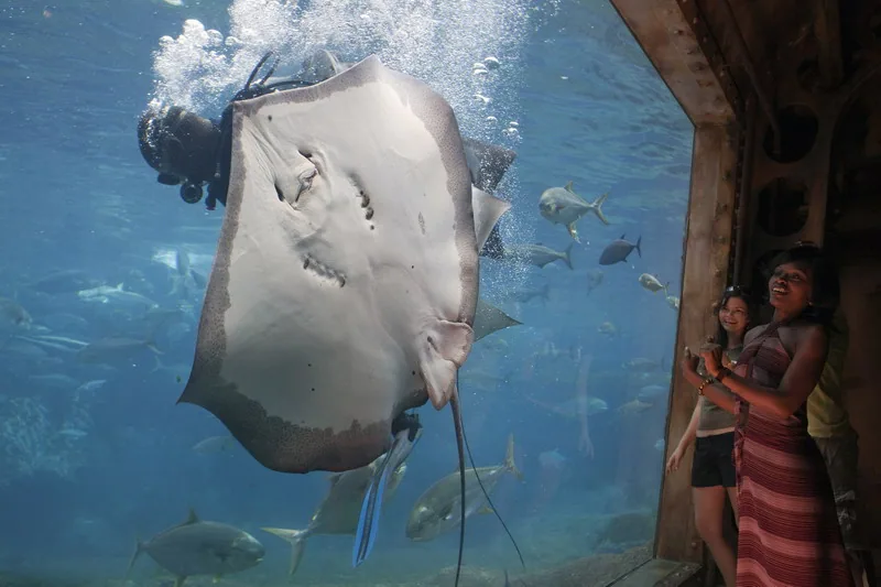uShaka marine World – olbrzymi morski park rozrywki w Durbanie
