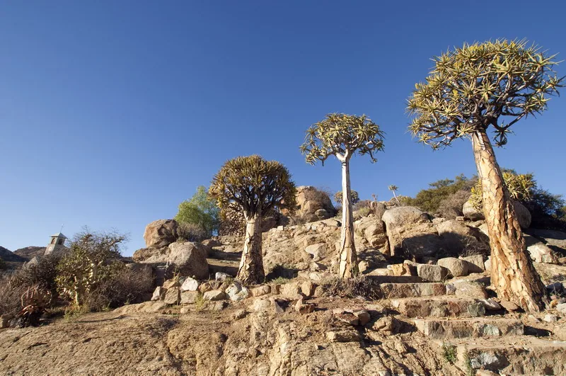 Region Little Namaqualand