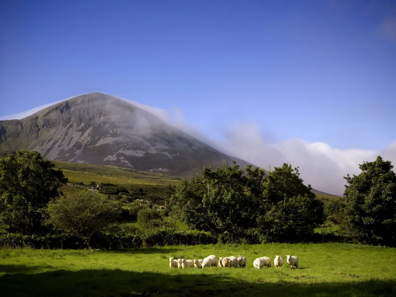 Góra Croagh Patrick (764 m n.p.m.) koło miasta Westport