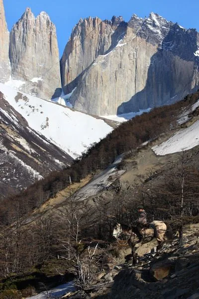 Wycieczka konna do Torres del Paine