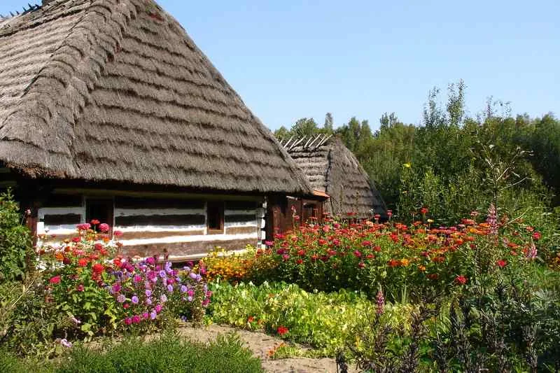 Muzeum Kultury Ludowej w Kolbuszowej zajmuje obszar niemal 30 ha