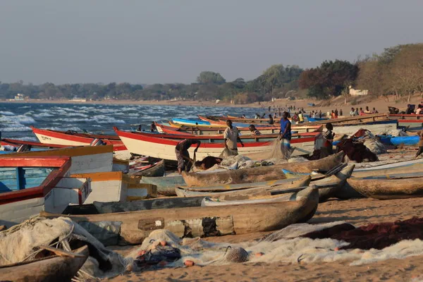 Na plażach jeziora Malawi ujrzymy dziesiątki łodzi rybackich