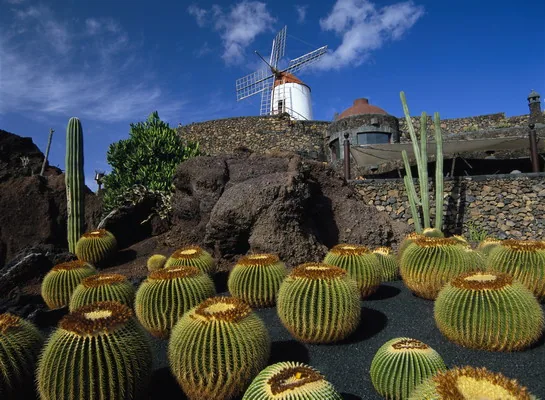 Jardín de Cactus (Ogród Kaktusów) we wsi Guatiza na Lanzarote
