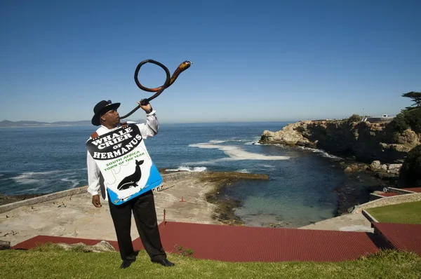 W Hermanus przybycie wielorybów obwieszcza tzw. Whale Crier