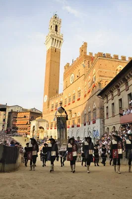 Piazza del Campo w Sienie w dniu wyścigu konnego Palio di Siena