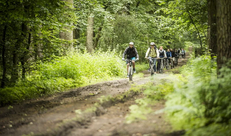 Wielkopolski Park Narodowy zachwyca bogactwem przyrody