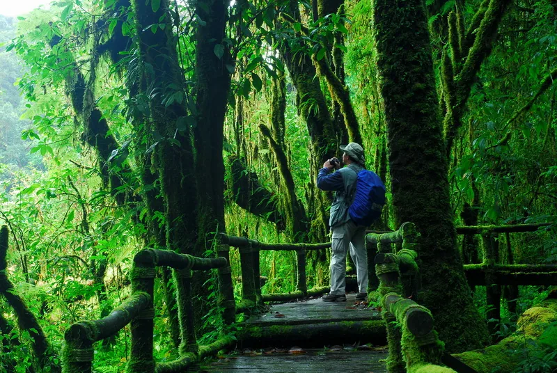 Malowniczy Park Narodowy Doi Inthanon w prowincji Chiang Mai