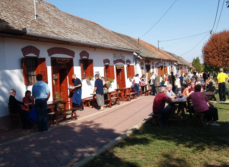 Festiwal Wina Czerwonego (Vörösbor Fesztivál) w Villány