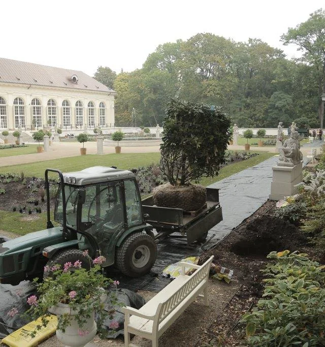 prace ogród 4