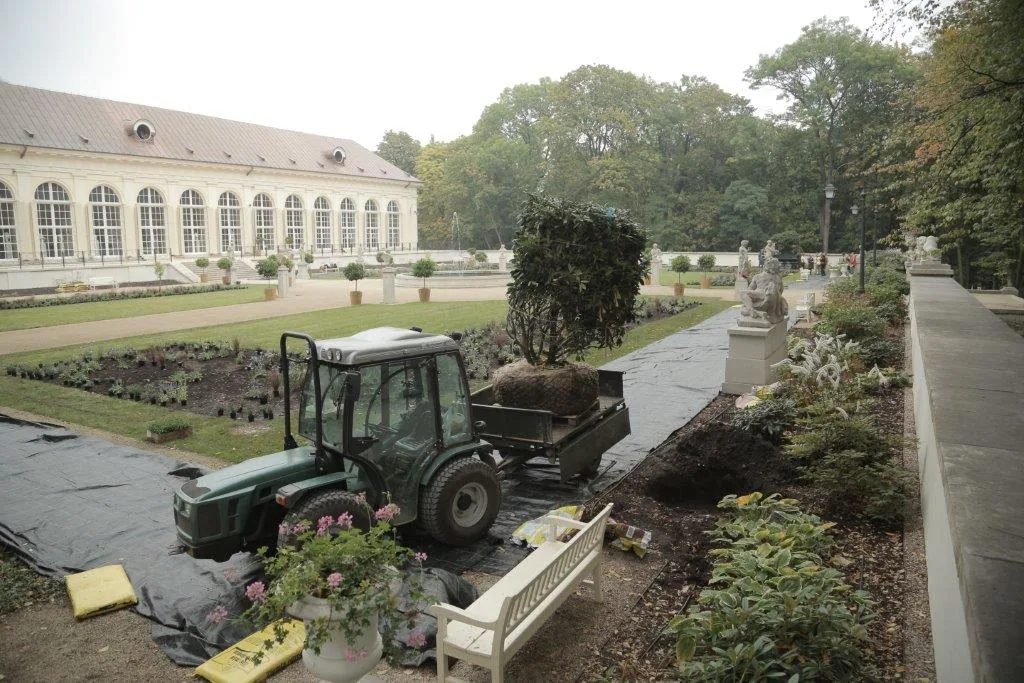 prace ogród 4