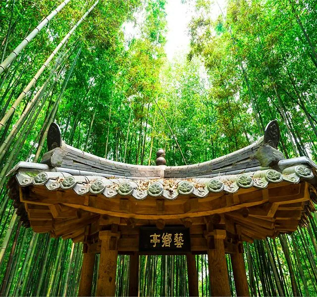 1516007201507023k_Juknokwon_Bamboo_Park.jpg