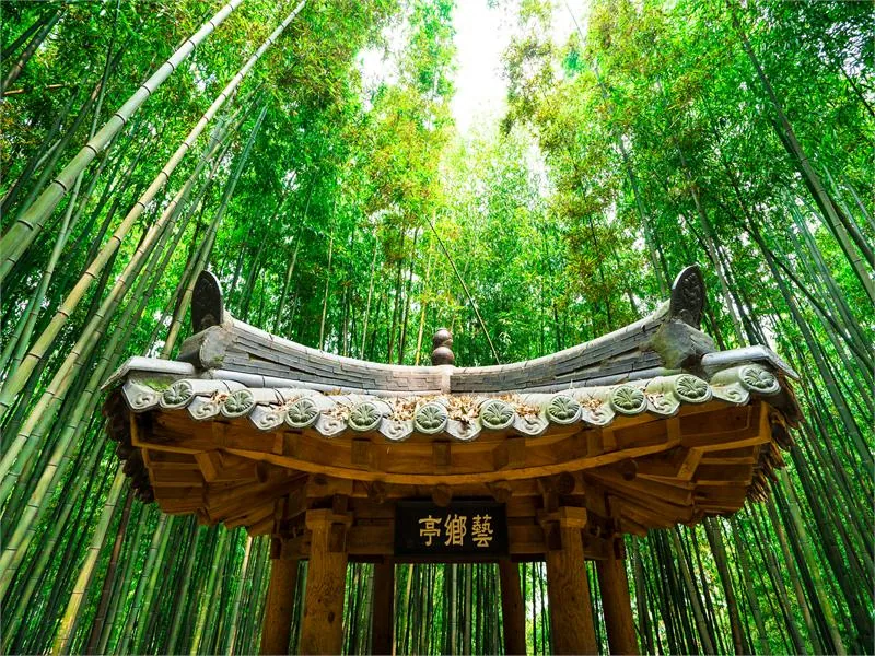 1516007201507023k_Juknokwon_Bamboo_Park.jpg