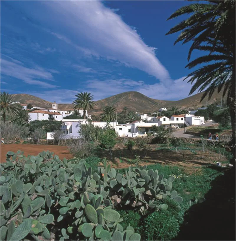 Valle_Betancuria.jpg
