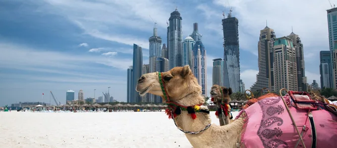 dubai_promocja2