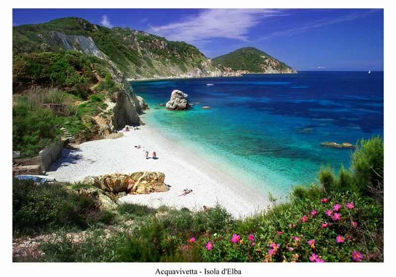 Acquavivetta copia