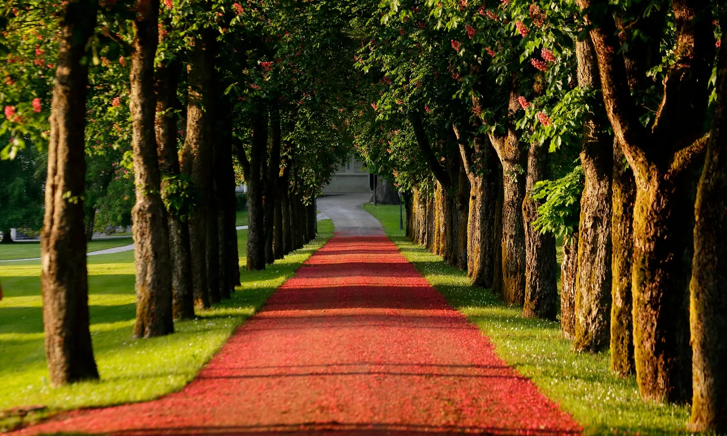 36 brdo park 2015