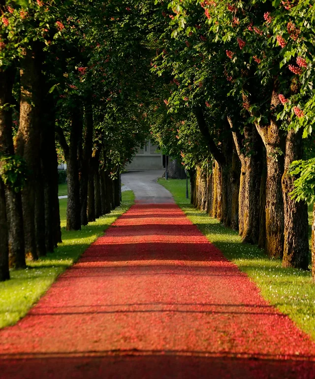 36 brdo park 2015