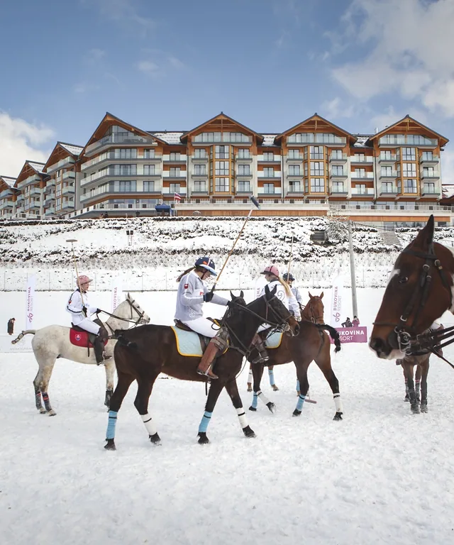 BUKOVINA POLO SNOW MASTERS