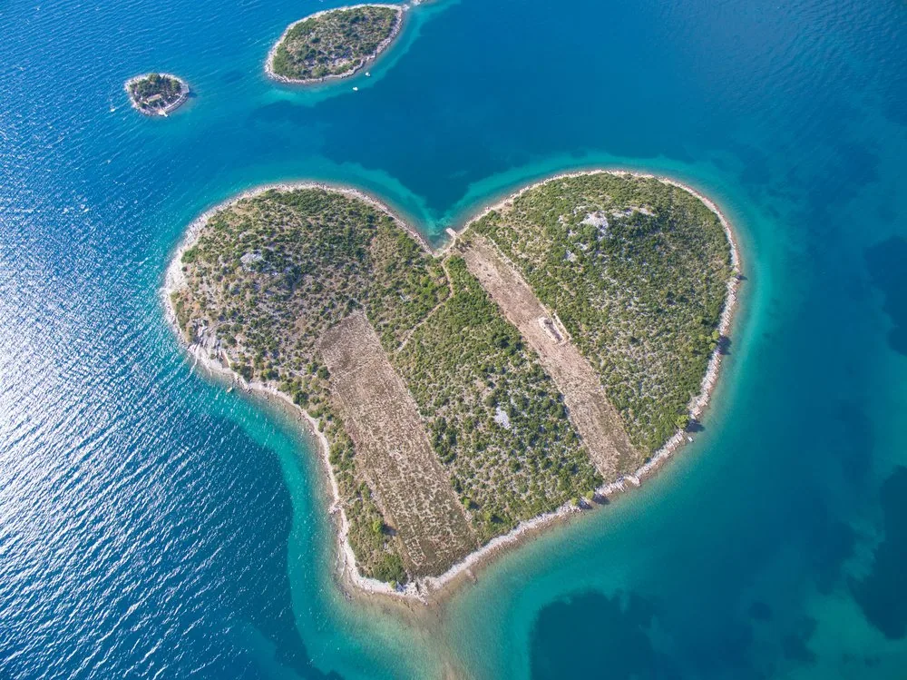 Galesnjak-Zdrodlo-Shutterstock