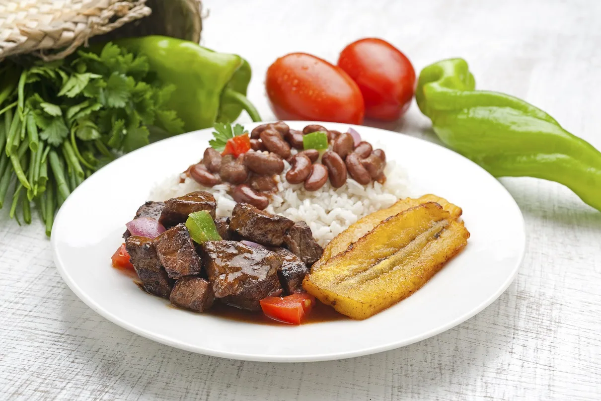 Plato tipico.1