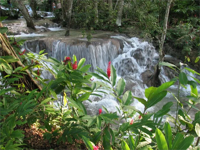 Dunns River Falls1 fot