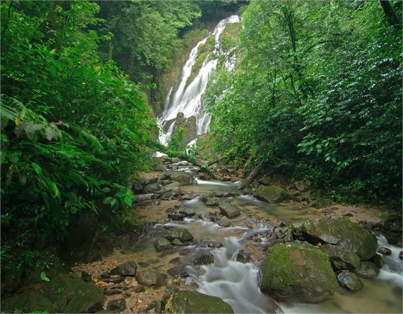 El Chorro del Macho