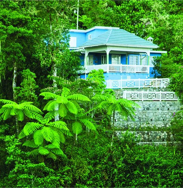 NY JAMA A031757 House on Blue Mountain 4C1 cut