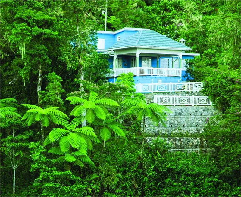 NY JAMA A031757 House on Blue Mountain 4C1 cut