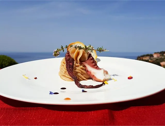 octopus