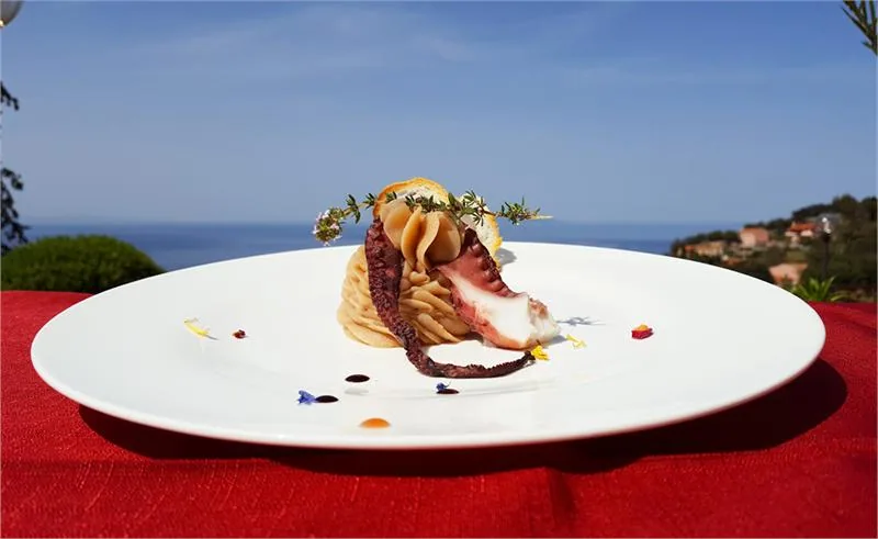 octopus