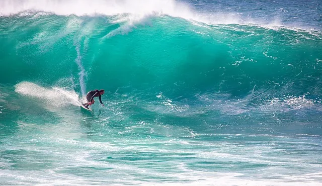 Surfing Pixabay