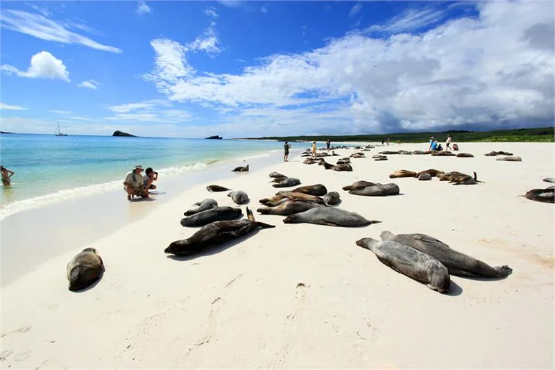 GALAPAGOS PAISAJES186