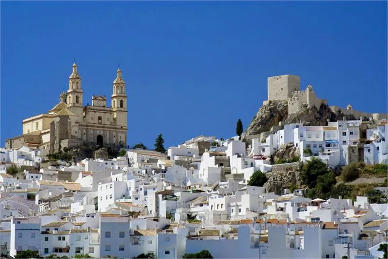 Olvera 2
