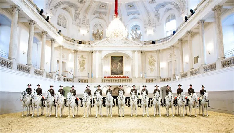 Riders Stallions Spanish Riding School Stefan Seelig