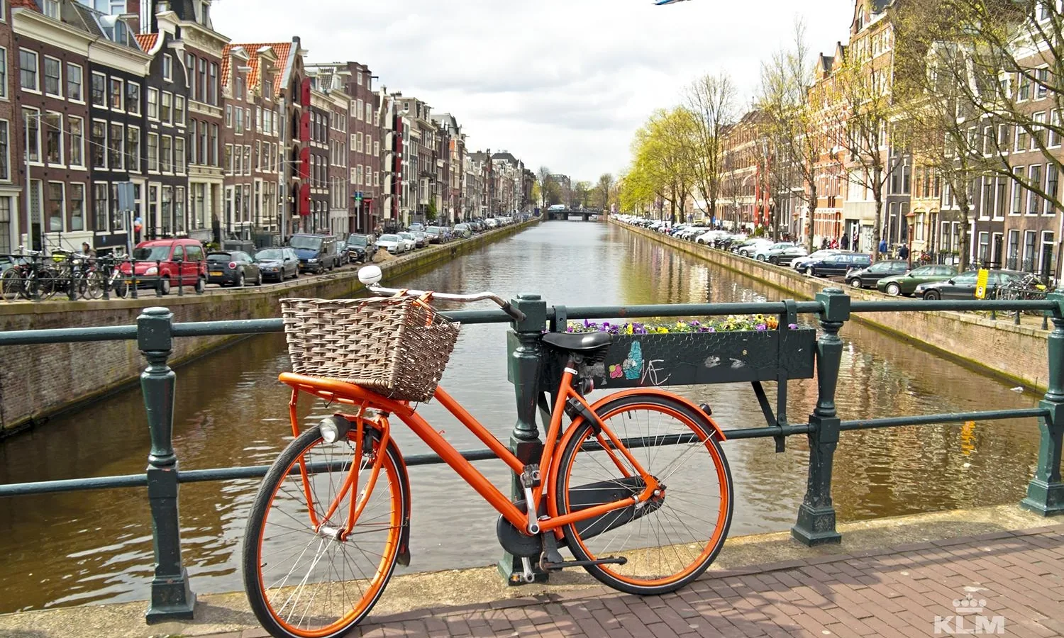 Amsterdam rower