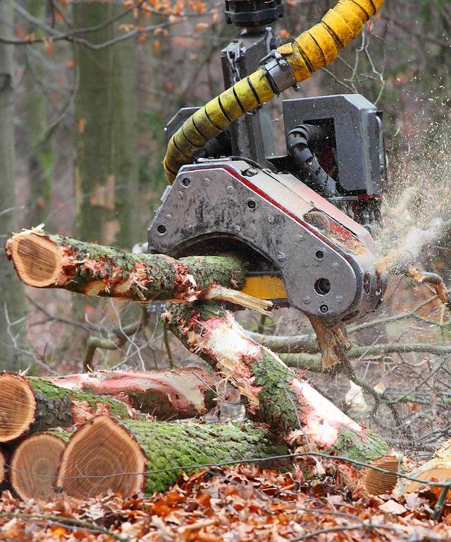 Zdjęcie ilustracyjne mat. pras.1