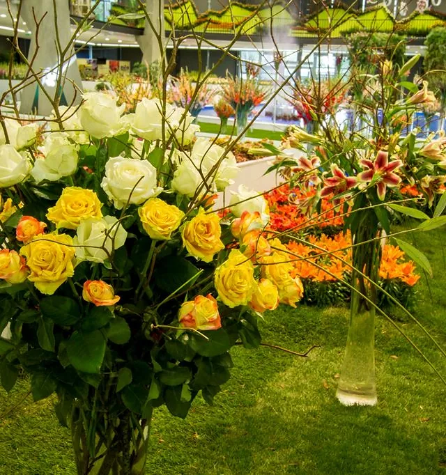 Flora Ołomuniec 4. CVýstaviště Flora Olomouc
