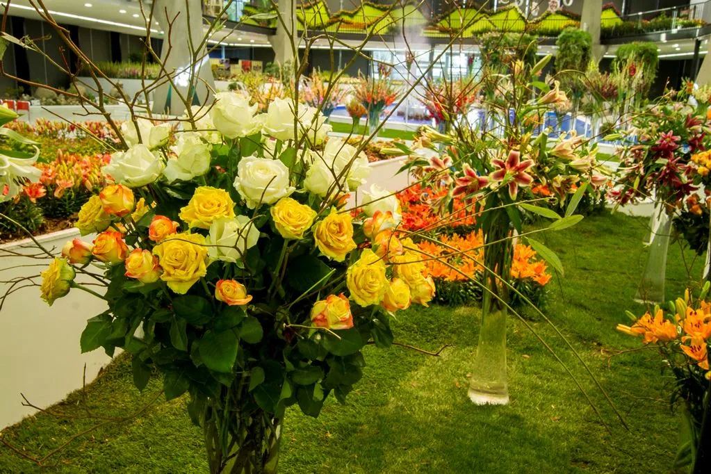Flora Ołomuniec 4. CVýstaviště Flora Olomouc