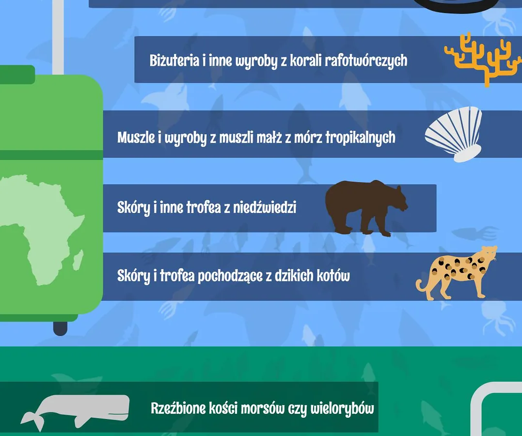 Zakazane pamiątki z wakacji INFOGRAFIKA1