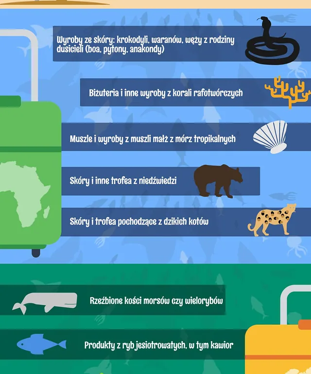 Zakazane pamiątki z wakacji INFOGRAFIKA1