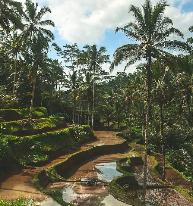 Bali