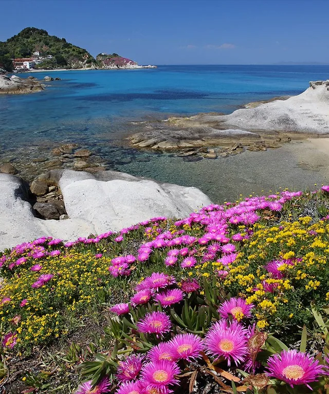 spiaggia-di-cotoncello-elba