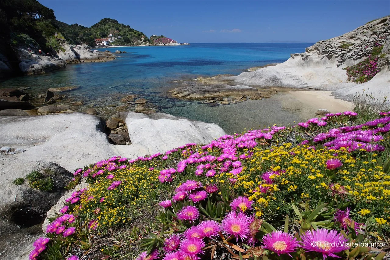 spiaggia-di-cotoncello-elba