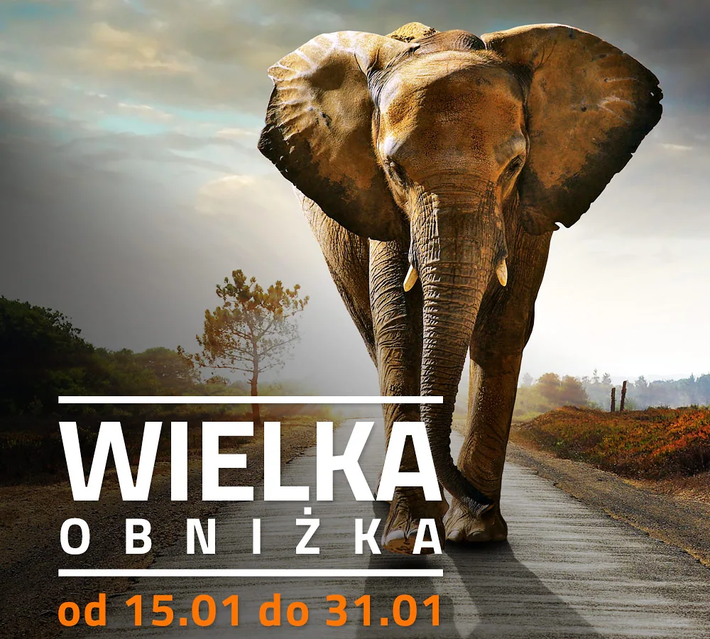 wielka obnizka instagram