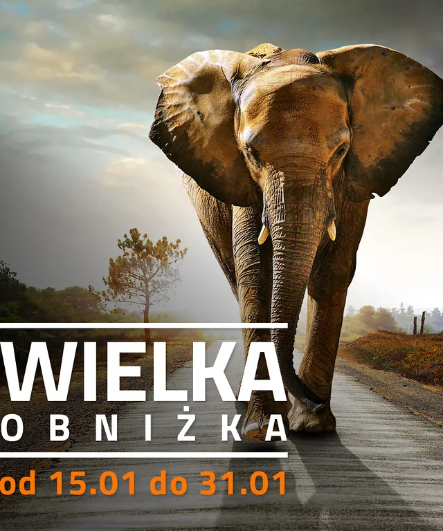 wielka obnizka instagram
