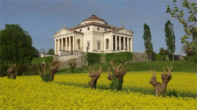 Villa La Rotonda colza