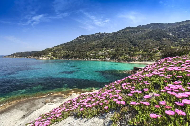 Golfo della Biodola – zachwycająca zatoka na północy Elby, nieopodal Portoferraio © HOTEL BIODOLA, ELBA